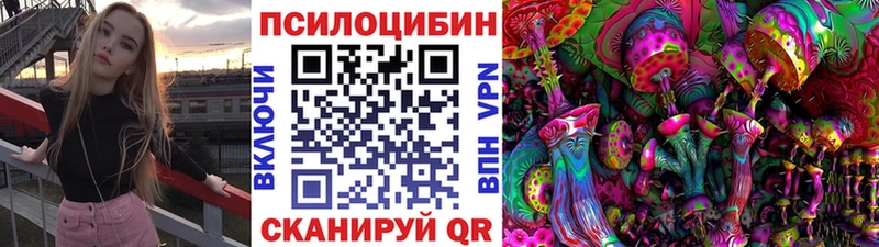 где купить наркоту  Звенигород  Галлюциногенные грибы Magic Shrooms 